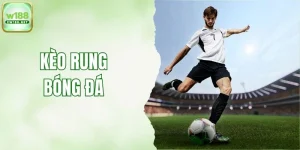 Kèo Rung Bóng Đá - Bí Kíp Tham Gia Luôn Thắng Từ Chuyên Gia
